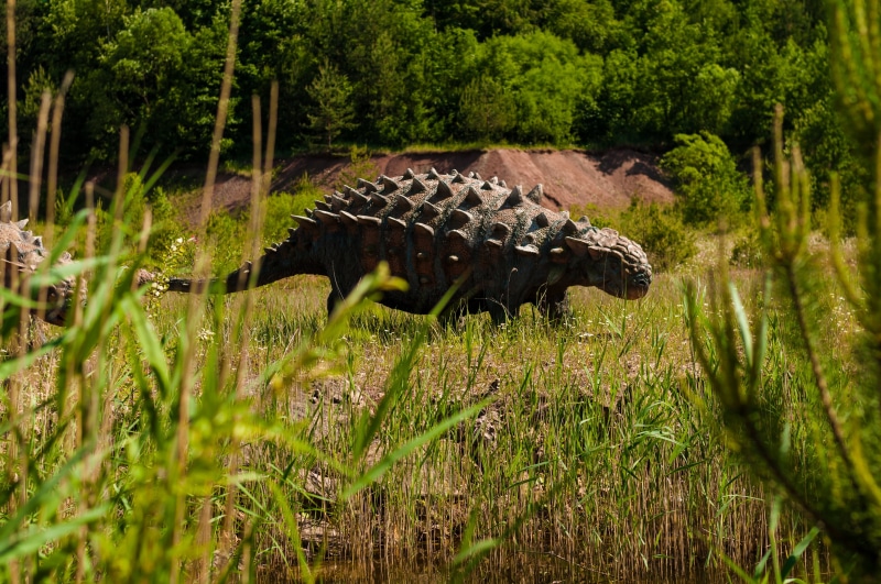 no people, prehistoric, 4K, one animal, military, lizard, the figurine, giganotosaurus, terrible, jaws, plant, quetzalcoatlus, forest, giant, animal, war