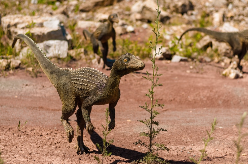 one animal, giant, akantofolis, triceratops, large, reptile, focus on foreground, park, lizard, fossil, quetzalcoatlus, iguanodon, full length, 4K, theropods