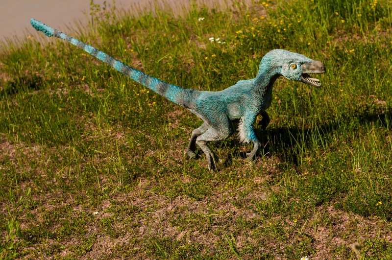 large, plesiosaur, toy, monster, masiakazaur, lizard, tanystropheus, giganotosaurus, afrovenator, reptile, insects, triceratops, ceratopsians, dinosaur