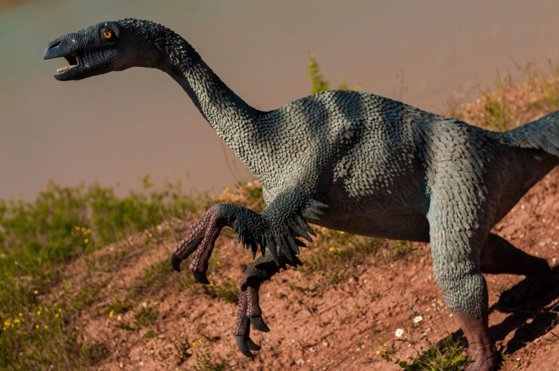 standing, reptile, forest, exhibition, evil, shark, sauropodomorpha, hunter, profile view, kentrosaurus, dinosaur, masiakazaur, park, one animal, bird