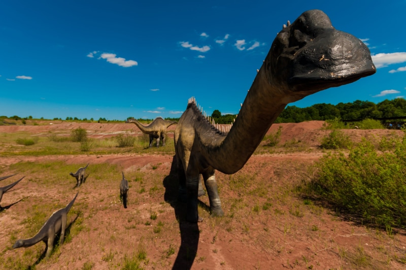 vertebrate, sky, dead, animal, tanystropheus, open, giganotosaurus, excursions, stegosaurus, edmontosaurus, iguanodon, beauty in nature, allosaurus, yi