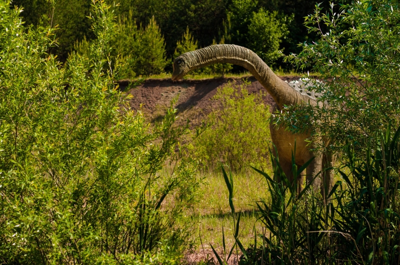 bad, animantarks, growth, lizard, plant, tree, beauty in nature, brachiosaurus, mouth, animals in the wild, exhibition, giganotosaurus, poland, terrible