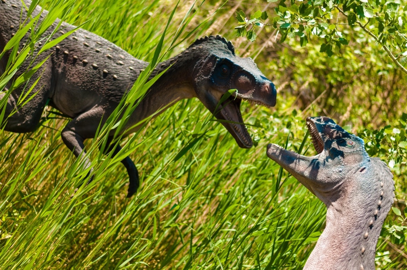 afrovenator, history, giant, jurassic, great, day, animal, spinosaurus, animal body part, argentinosaurus, field, prehistoric, predator, evil, reptile