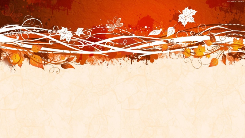 design, vector and designs, 1080P, vector