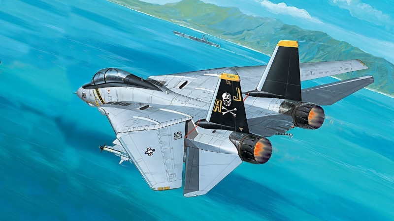 aerospace industry, on the move, day, military, sea, mode of transportation, Grumman F-14 Tomcat, 1080P, black, white, water, painting, outdoors, fighter plane