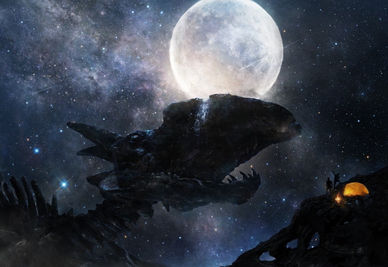 no people, digital composite, animal wildlife, Moon, animal themes, group of animals, moonlight, star - space, star, nature, beauty in nature, skeleton