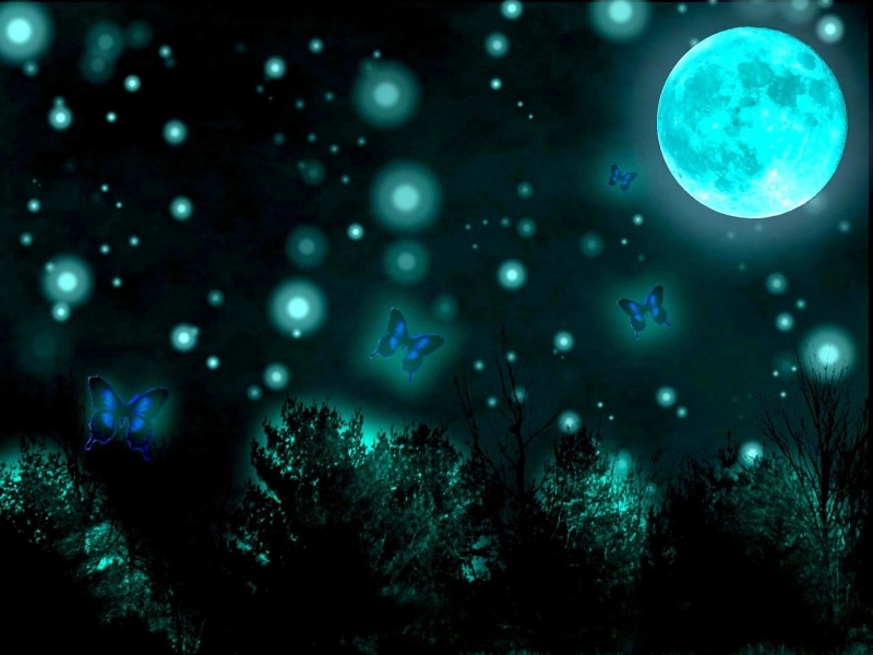 1080P, fullmoon, digital, grass, butterflies, moonlight