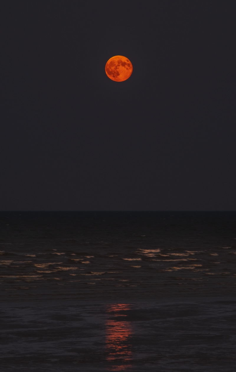 night, lunar eclipse, sunset, full moon, eclipse, horizon, blue, halloween, yellow, fujifilm x, lunar, ocean, moonlight, 4K, astrophotography, orange Color
