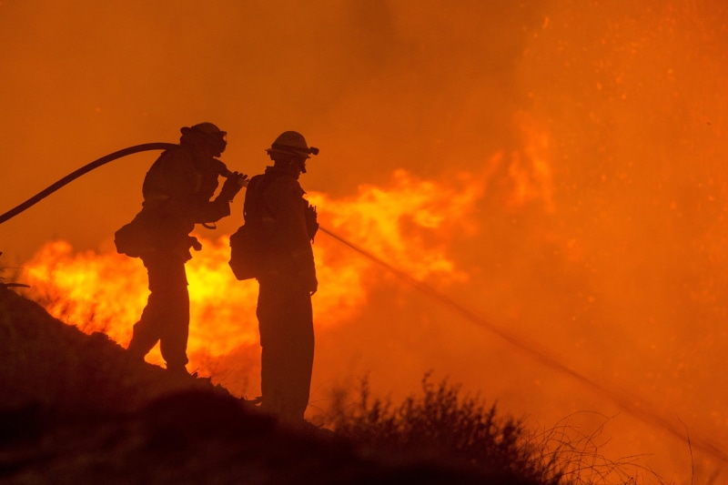 fire, hose, destruction, hot, security, two people, forest fire, water, equipment, teamwork, men, 2K, trees, firefighters, warning sign, protection, communication