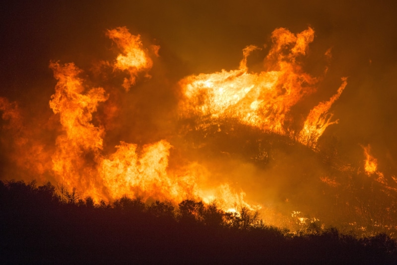 orange, orange color, power in nature, flames, sign, big windy, outdoors, smoke, fire - natural phenomenon, inferno, 2K, exploding, tree, danger, fire
