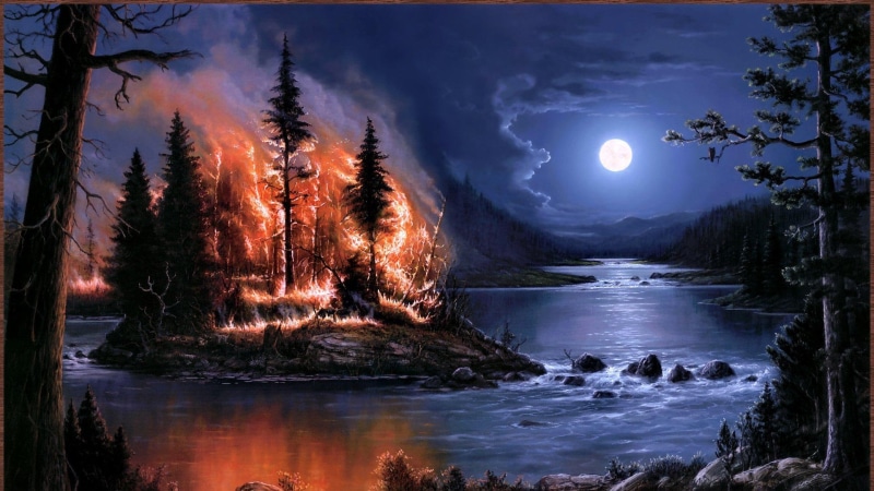 trees, fire, wildfire, 1080P, 3d and abstract, lake, water