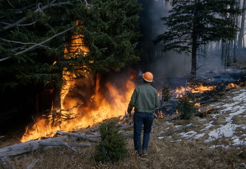 heat - temperature, burning, dangerous, controlled, casual clothing, smoke - physical structure, flames, man, fireman, heat, flame, forest service, smoke