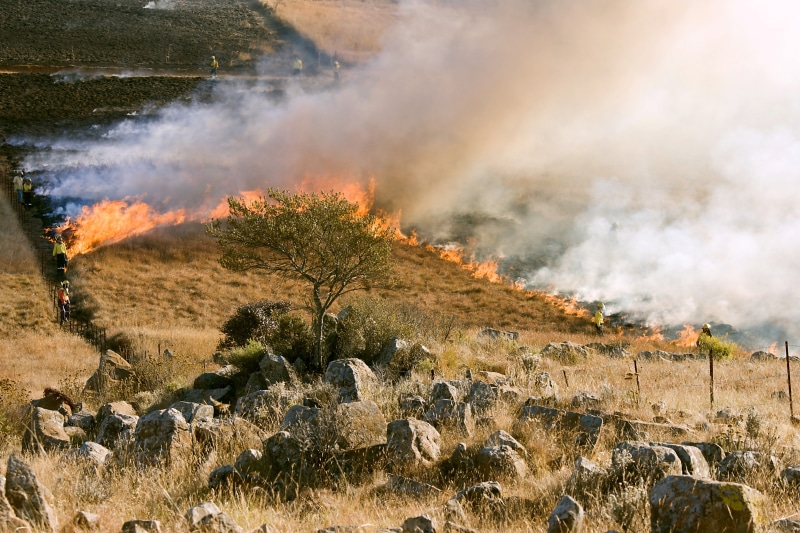 volcano, heat, bush fire, beauty in nature, nature, burn, no people, autumn, smoke, wildfire, scenics - nature, pollution, 4K, non-urban scene, firefighter
