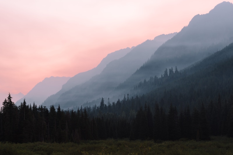 pacific northwest, layer, landscape, mountain range, fog, sunset, calm, coniferous tree, green, mountain, sun, land, serene, fogs, nature, non-urban scene