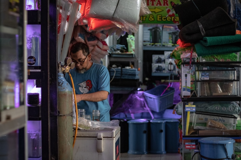 concentration, small business, men, street photgraphy, clothing, man, casual clothing, waist up, occupation, choice, market, people, real people, merchant