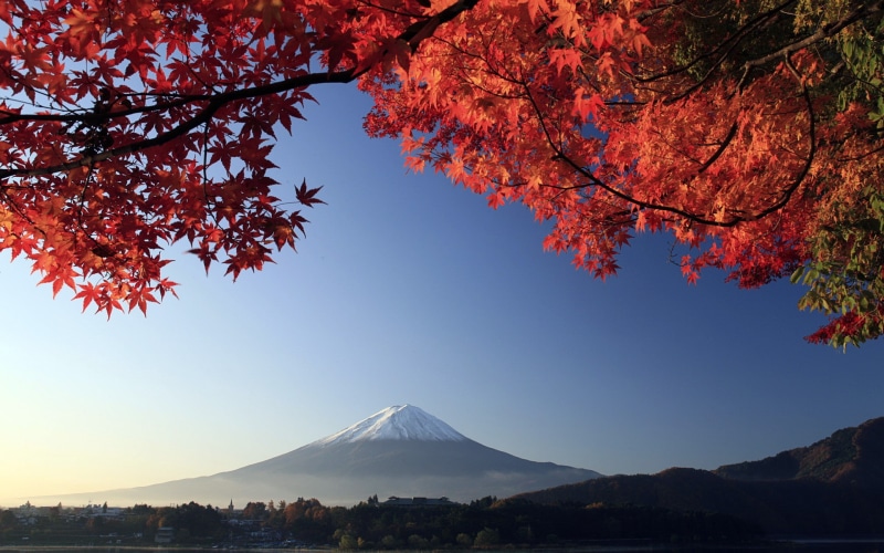 mountain, 1080P, nature, fuji, landscape, mt, hd, leaves