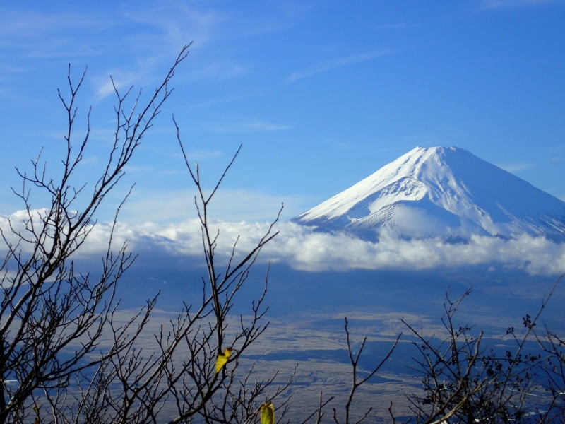 environment, snowcapped mountain, hakone, winter, cold temperature, day, volcano, clear skies, beauty in nature, plant, tranquil scene, mt fuji, mountain peak