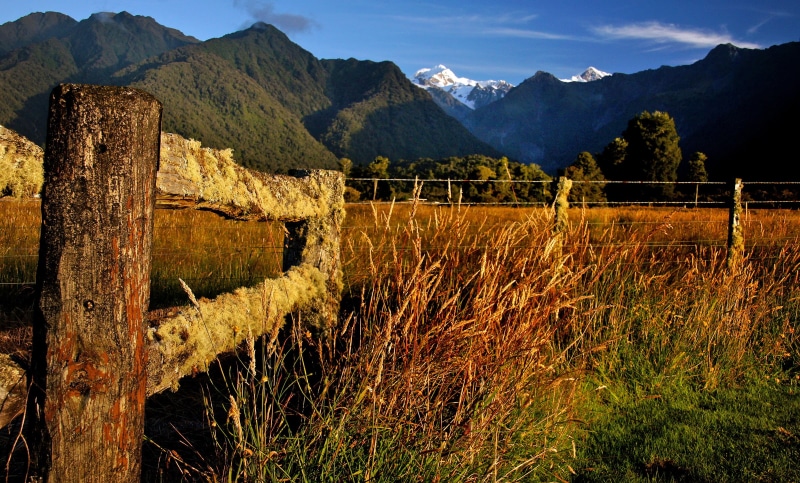 PZD, Dedication, lichen, white cloud, sunset  mountains, Sony DSLR A580, lover, outdoors, Moss, daytime, blue sky, scenics, Landscape, Geo-Tagged, Southern Alps New Zealand