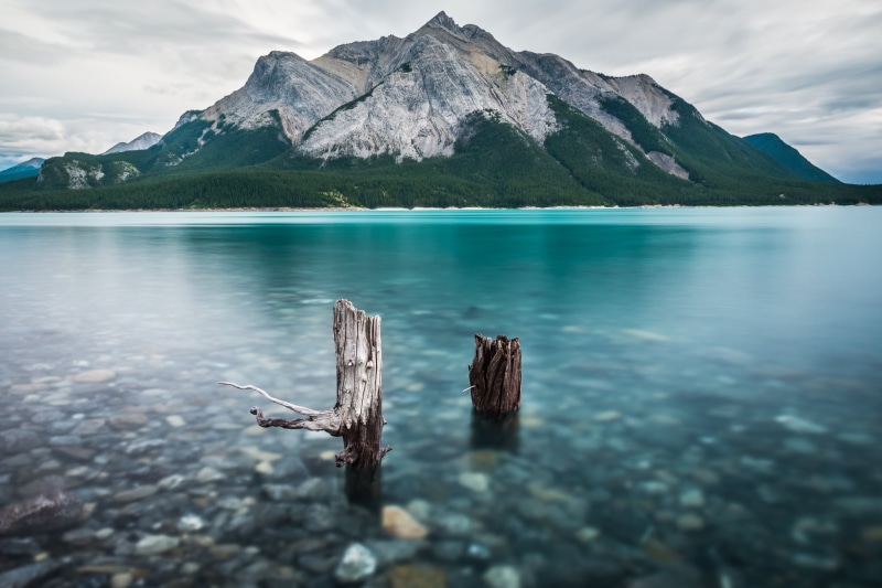 cloud, landscape, cumulus, nature, outdoors, travel, stump, photography, Canadian, cumulus cloud, summer, lake, surrounded, tree  trunk, Tree on a Hill