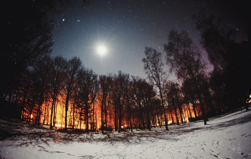 night, snowdrops, landscape, time, sky, trees, road, Moon, tranquility, snowcapped, scenics - nature, outdoors, land, cold temperature, moonlight, nature