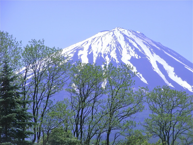 scenics - nature, day, outdoors, idyllic, cold temperature, mt fuji, beauty in nature, low angle view, growth, snow, sky, tranquility, 2K, tree, mountain