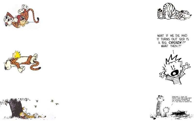 indoors, no people, clear sky, western script, copy space, text, white background, flower, communication, creativity, characters, representation, activity