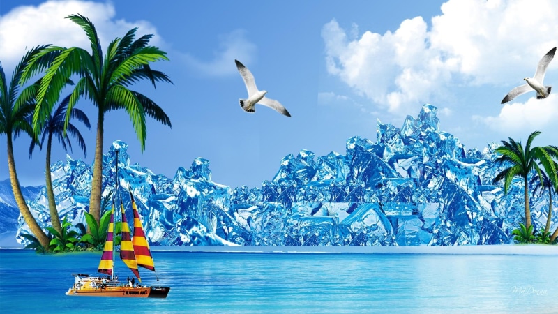 lake, 1080P, sea gull, water, clouds, sailboat, nature and land, cool, beach, icy, palm tree, summer