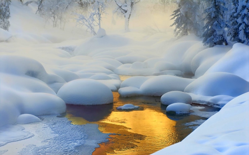 creeks, nature, landscape, Russia, mist, gold, yellow, Siberia, cold, 1080P, trees, ice, frost, snow, forest