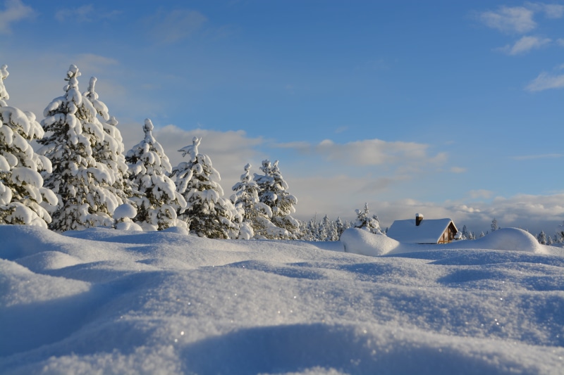covering, outdoors, tranquil Scene, frost, blue, leafed, forest, cottage, landscape, daytime, cloudy, cold temperature, trees, plant, winter, mountain