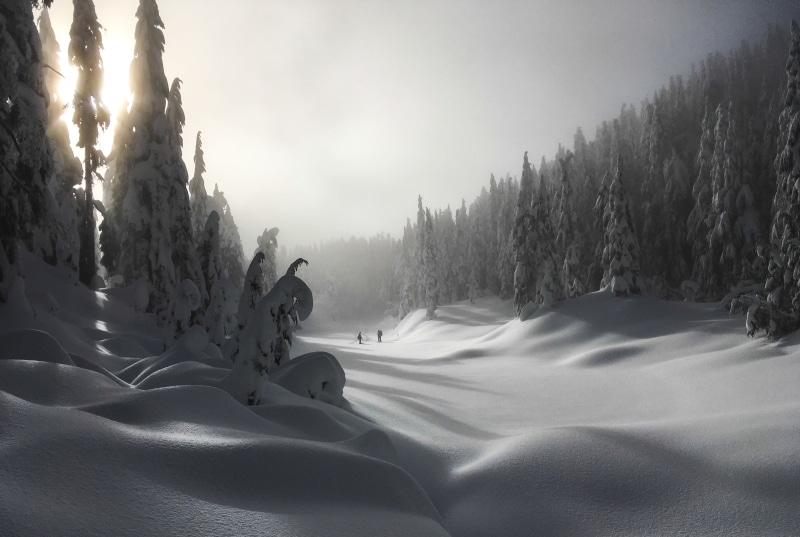 ice, frost, tree, trees, provincial, snow, cold - Temperature, Mountain, Hikes, white, nature, Lake, ground, mountain, landscape, park, Cypress Provincial Park