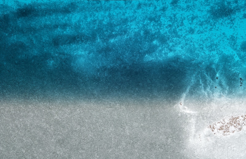 day, 4K, cold temperature, textured, winter, frozen, glass, animal wildlife, weather, undersea, Snow, Frost, icy, water, animals in the wild, swimming