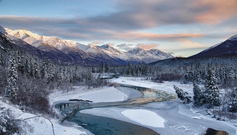 pine tree, plant, mountain range, winter, water, Alaska, cold, landscape, tranquility, scenics - nature, snowcapped mountain, tree, coniferous tree, mountain peak