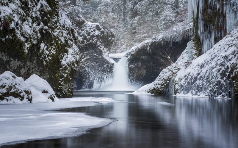flowing, cold temperature, plant, water, beauty in nature, environment, scenics - nature, forest, snow, outdoors, cold, day, winter, power in nature, falling water