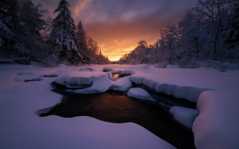frost, snow, clouds, sky, cold, trees, landscape, 480P, nature, winter, forest, Maine, sunset