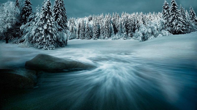 woodland, aqua, outdoors, shape, texture, wet, cool, motion, tranquility, fresh, cold, environment, no people, pine tree, backdrop, 1080P, water, purity
