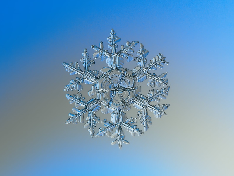 volumetric, 1080P, cold, outdoor, fragile, selective, structure, decoration, isolated, dream, weather, frozen, symbol, snowflakes, decorated, beauty, blue