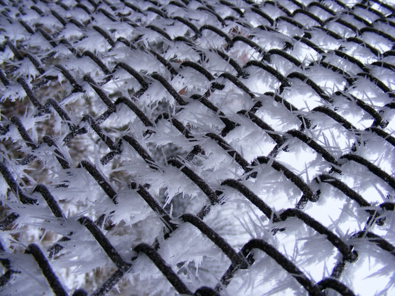 seafood, seasons, metallic, cold, flakes, patterns, transparent, fish, pattern, repetition, abundance, cold temperature, zes, wet, icy, wellbeing, animal