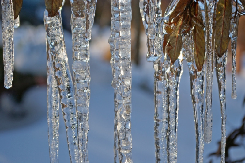 beauty in nature, blue, glassy, nature, selective focus, cold, crystal, ice age, white color, close-up, drip, hanging, window, environment, frost, focus on foreground