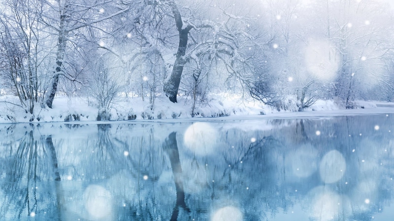 plant, texture, blizzard, environment, snowing, cool, water, tranquil scene, christmas, solid, beauty in nature, white color, clear, liquid, day, nature