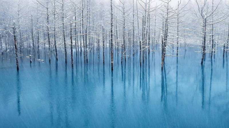 frozen, reflection, lake, frost, calm, swamp, snow, cold, nature, sky, trees, hoarfrost, freezing, winter, 1080P, forest, water, tree