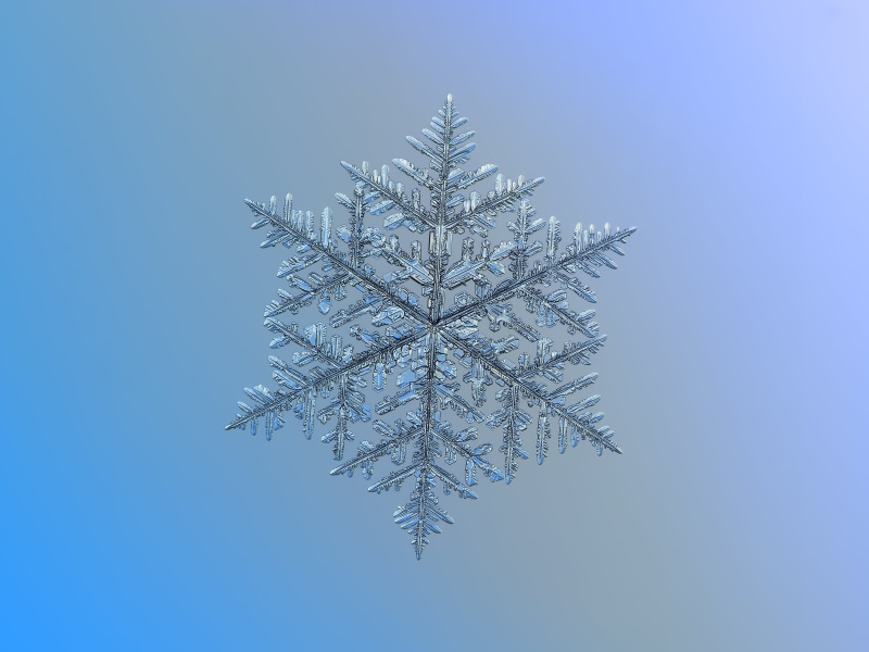 hexagonal, traditional, photo, fragility, natural, backgrounds, decoration, volumetric, frozen, flake, weather, ornament, ornate, snow, celebration, beautiful