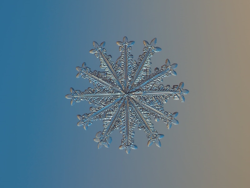 ice, ornate, Snowflake, closeup photography, unique, ornament, glitter, crystal, snow, isolated, macro, icy, snowflakes, design, magnified, ice Crystal