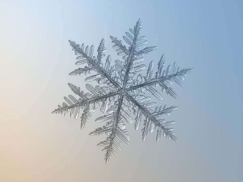 decorated, microscopic, outdoor, frost, fragile, beautiful, photo, decor, shiny, transparent, winter, new year, hexagon, frosty, symbol, cold, pattern