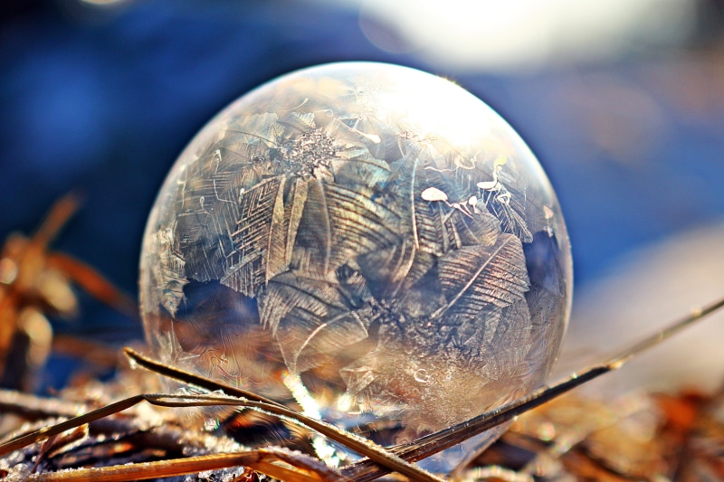 ice crystal, frost bubble, structure, frost ball, selective focus, nature, ice, frozen, close-up, animal, ze, animal wildlife, macro, pattern, seifenblase frozen