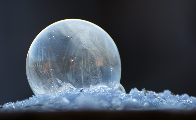 animal, cold temperature, ice-bag, nature, frozen bubble, reflection, animal wildlife, glass, blue, ze, Soap Bubble, frosted soap bubble, selective focus
