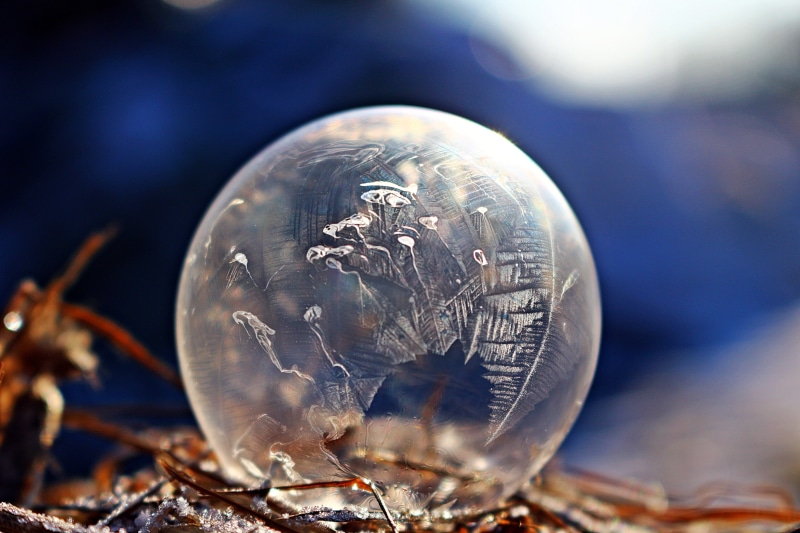 animal wildlife, close-up, ze, crystalline, animals in the wild, frosted, focus on foreground, frozen ice crystals, ice, day, ball, crystal, vulnerability