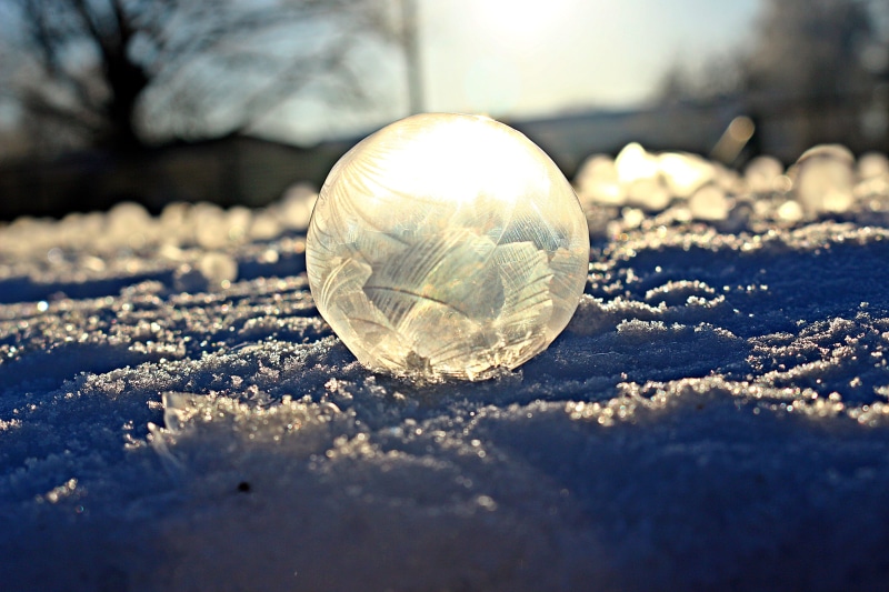 outdoors, one animal, frost globe, Frost, reflection, snow, shell, Globe, frost blister, glass - material, winter, ice, focus on foreground, land, sunlight