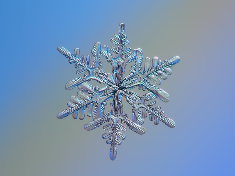 seasonal, background, season, geometric, stellar, nobody, Snowflakes, ze, frosty, amazing, hexagonal, beautiful, symmetry, frozen, fragile, natural, star  bright