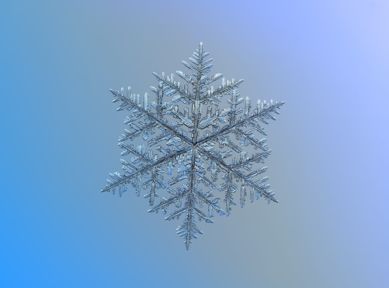 blue background, Aero, dendrite, Macro, Frost, Ornament, no people, Blue, Stars, Outdoor, day, 2K, cold temperature, Details, Light, Sign, ice, Glitter