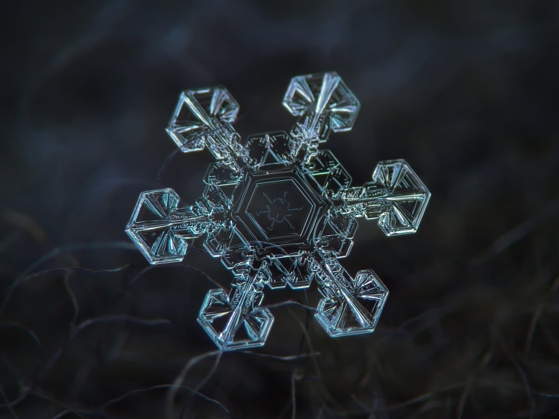 north, nature, closeup, background, detail, single, design, macro, star, unique, small, cool, natural, cold, 1080P, explore, sparkle, snow, microscopic